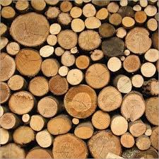 Finnish roundwood timber export supplier RBI Finland OY round logs